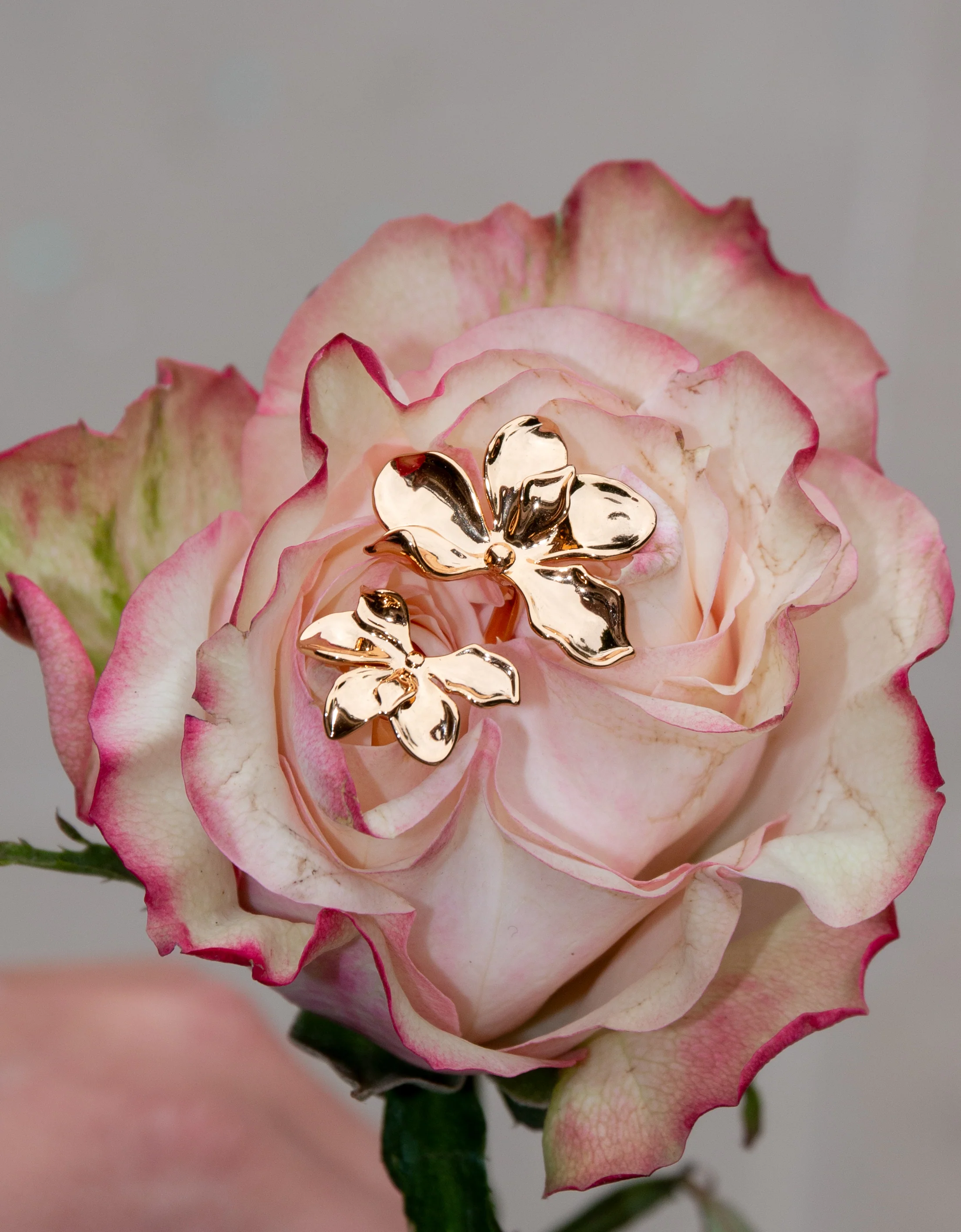 Florence Ring - Image 2